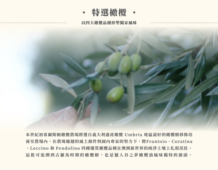 【獵人谷之夢】 澳洲特級初榨橄欖油250毫升