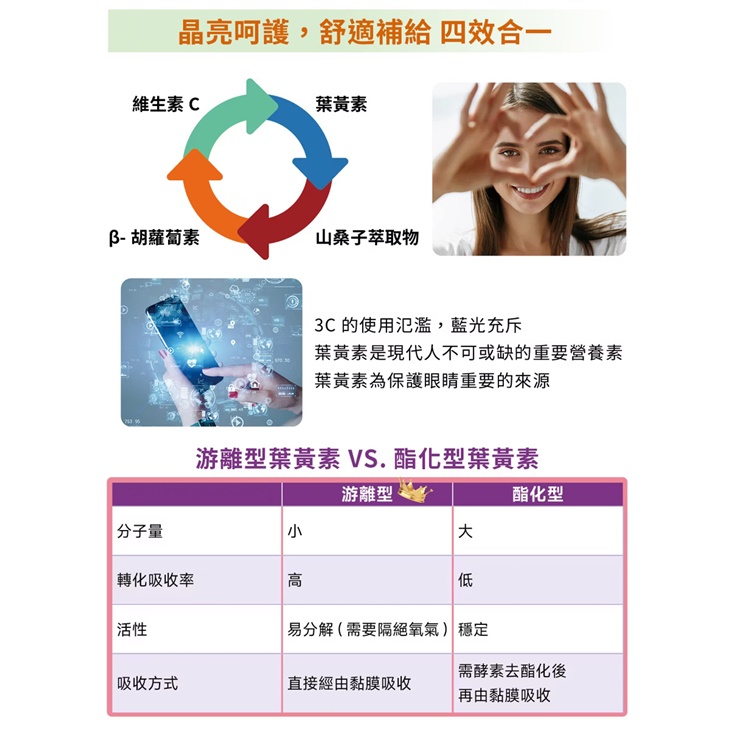 山桑子葉黃素膠囊