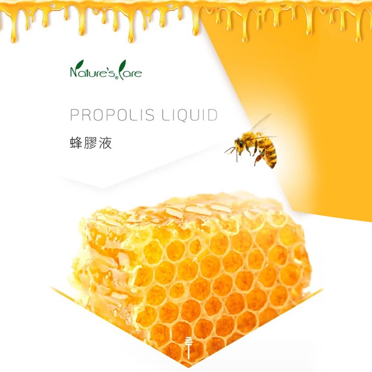 【Nature's Care】高品質蜂膠精華液 1瓶(25ml/瓶)(即期良品2026/1/31)