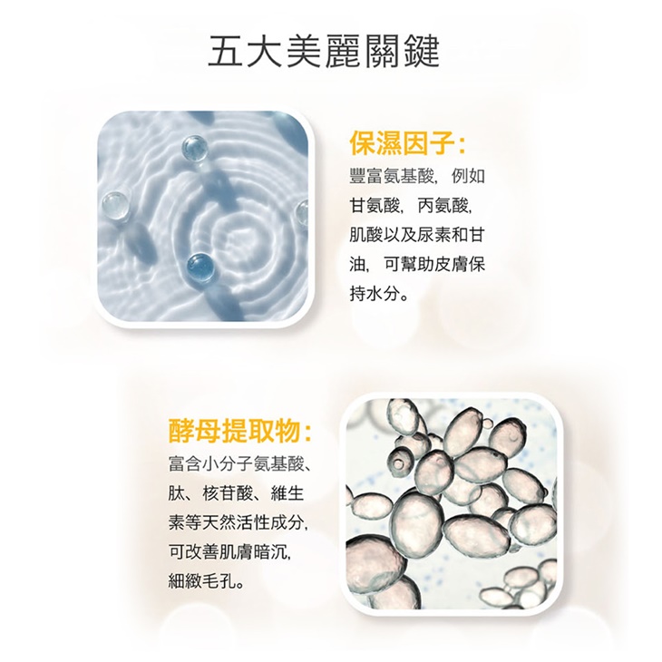 山桑子葉黃素膠囊
