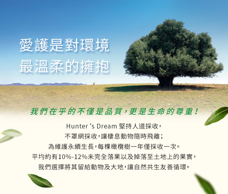 【獵人谷之夢】 澳洲特級初榨橄欖油250毫升