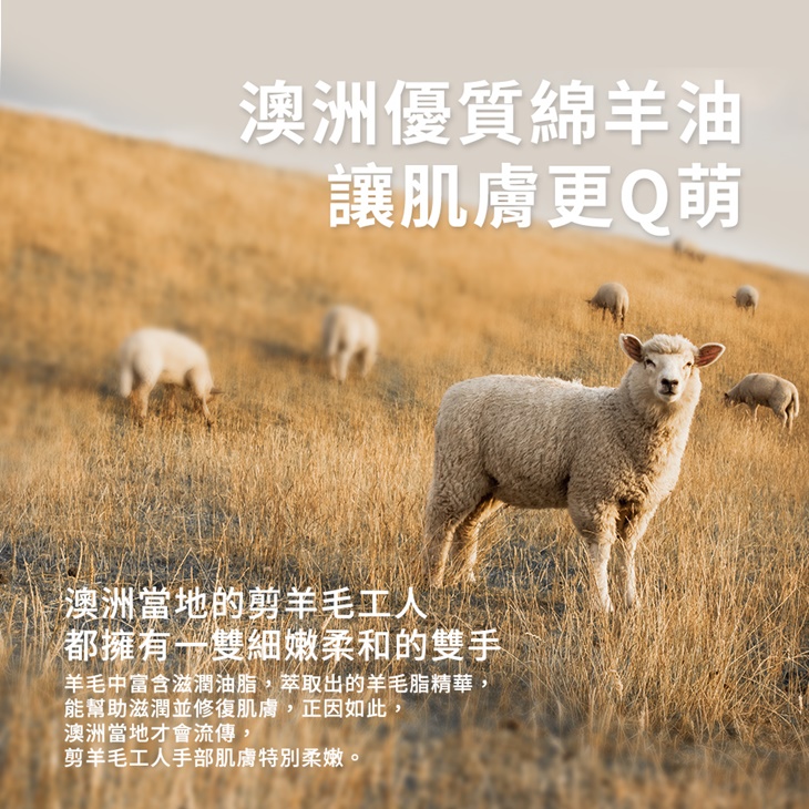 【獵人谷之夢】 澳洲特級初榨橄欖油250毫升