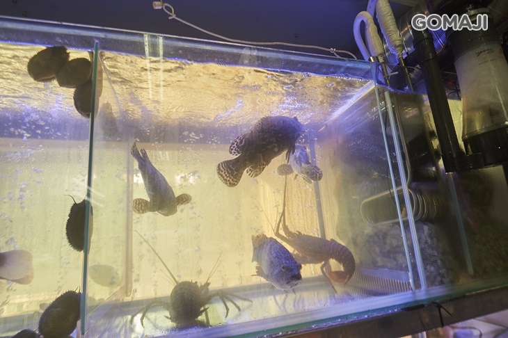  蝦搞專業活蝦海鮮料理 