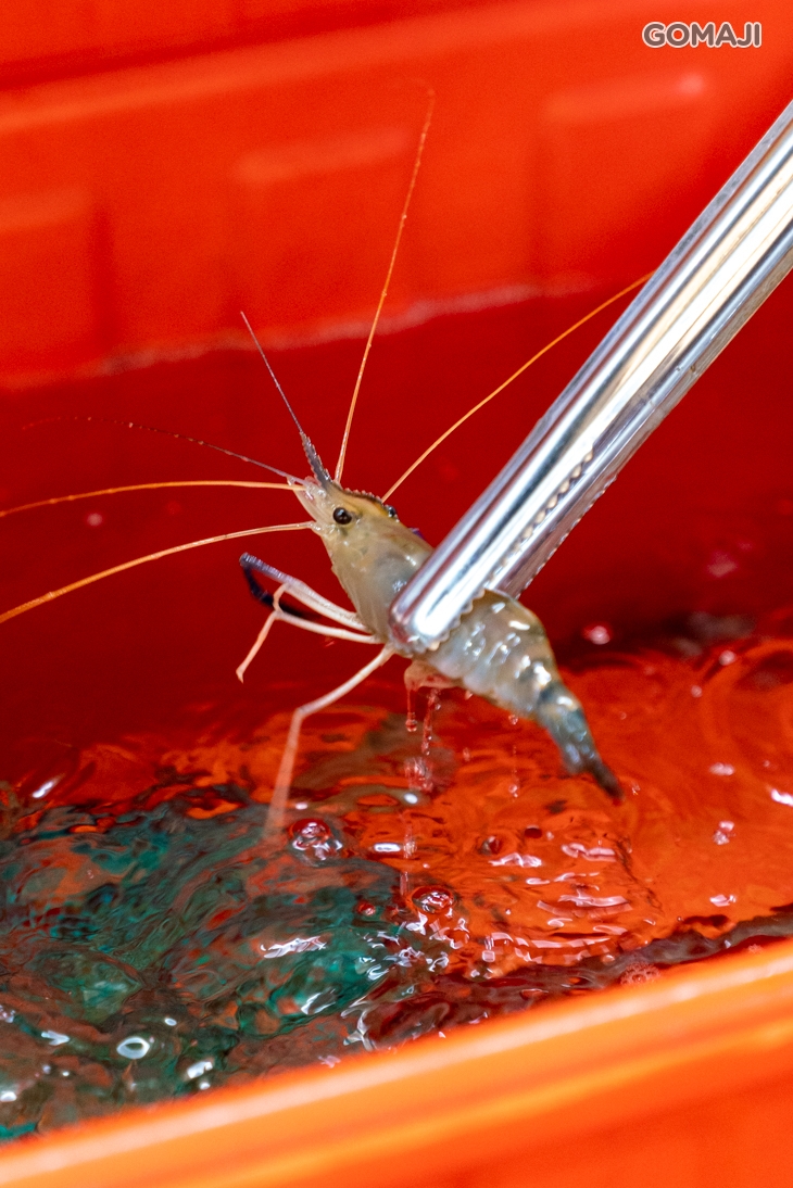 蝦搞專業活蝦海鮮料理