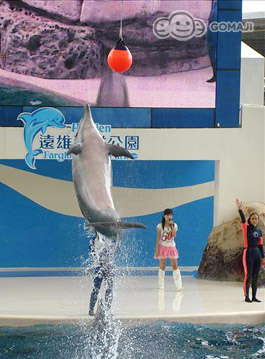 遠雄海洋公園