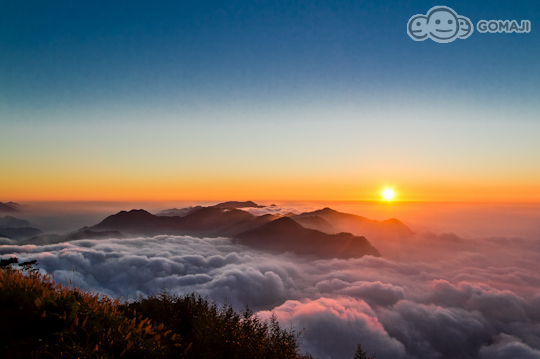 阿里山玻璃屋-當歸民宿