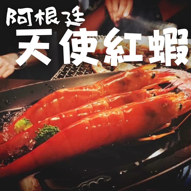 天使紅蝦