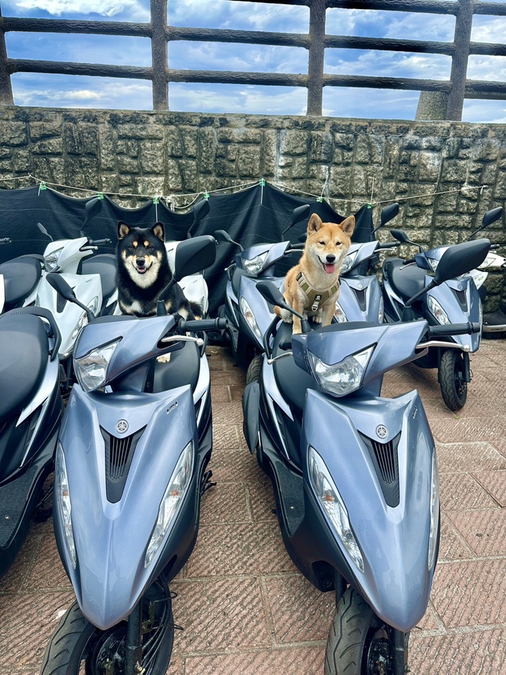 不挑款125cc機車