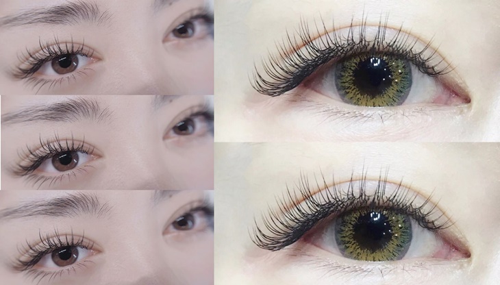 睫毛嫁接