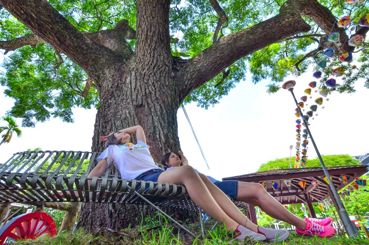 綠遊網藝術茶園龍田村私房行程