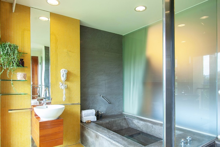 鹿景豪華溫泉客房