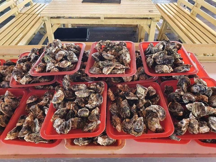 鮮烤牡蠣、美味粥品吃到飽