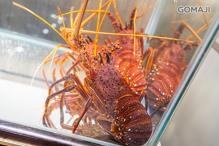 莯鑶手創鐵板料理