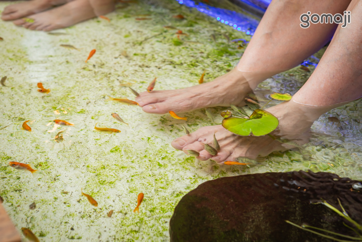 【松足霖泡腳美食咖啡】