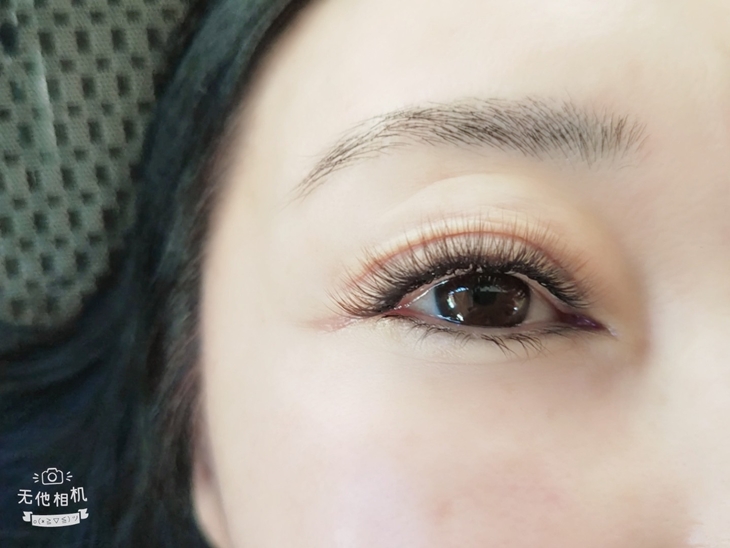 6D 550根美睫嫁接 