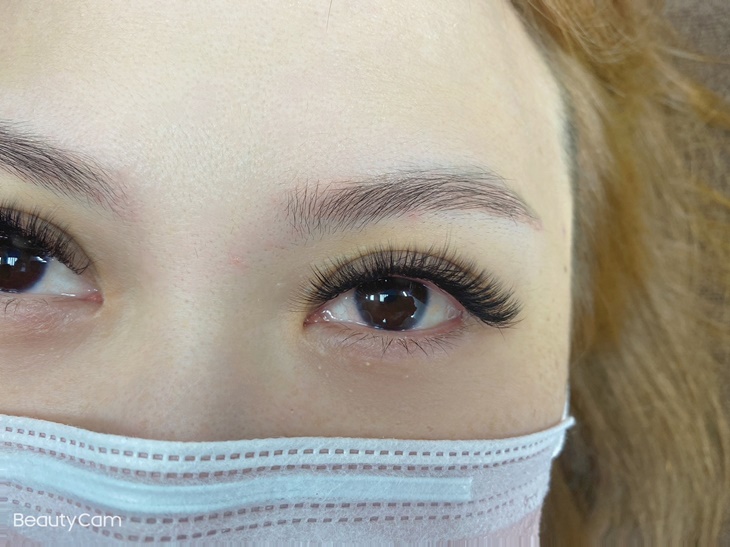 6D多層次550根嫁接