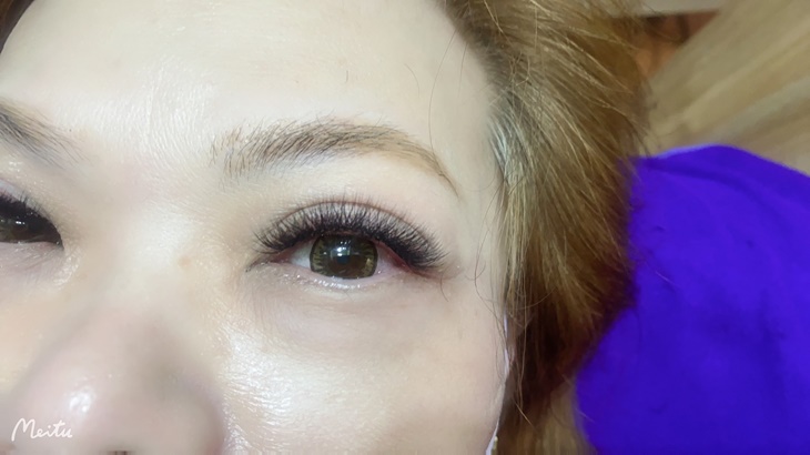 6D多層次550根嫁接