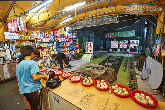 挑戰棒球九宮格 - 麻吉好店店家資訊