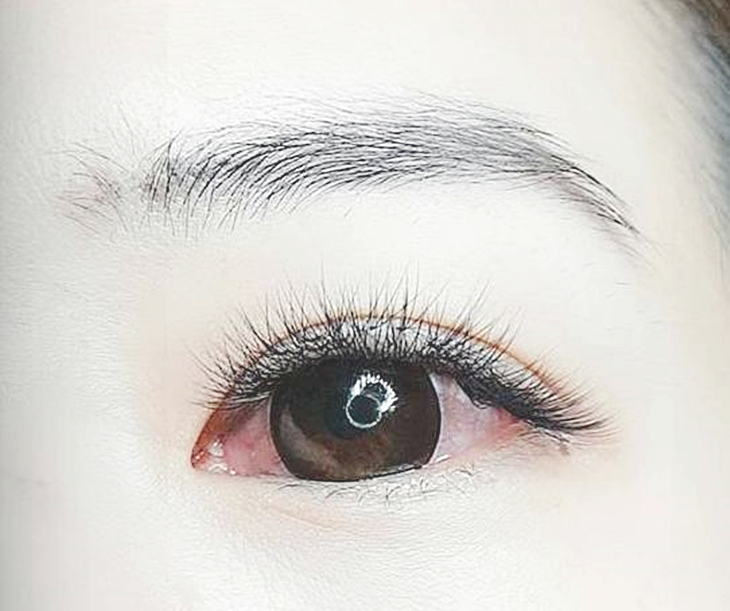 6D超輕柔優雅400根美睫