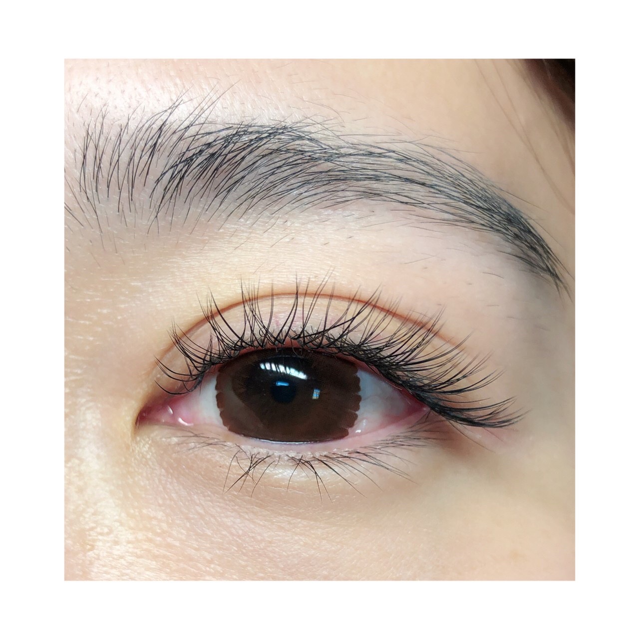 店家作品參考,非本次方案內容