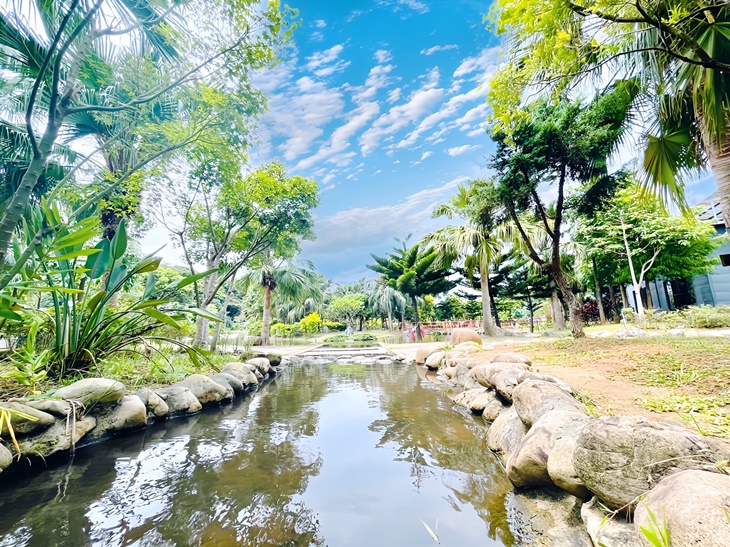 桃園蘆竹-茶野裡山野露營
