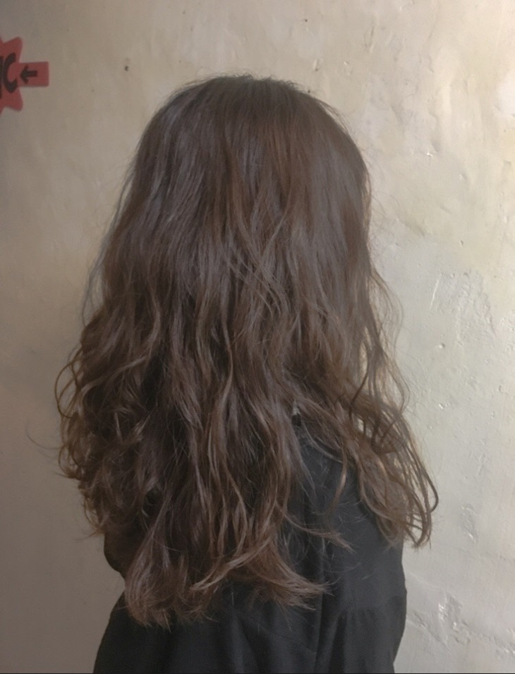 德國頂級施華蔻染護髮