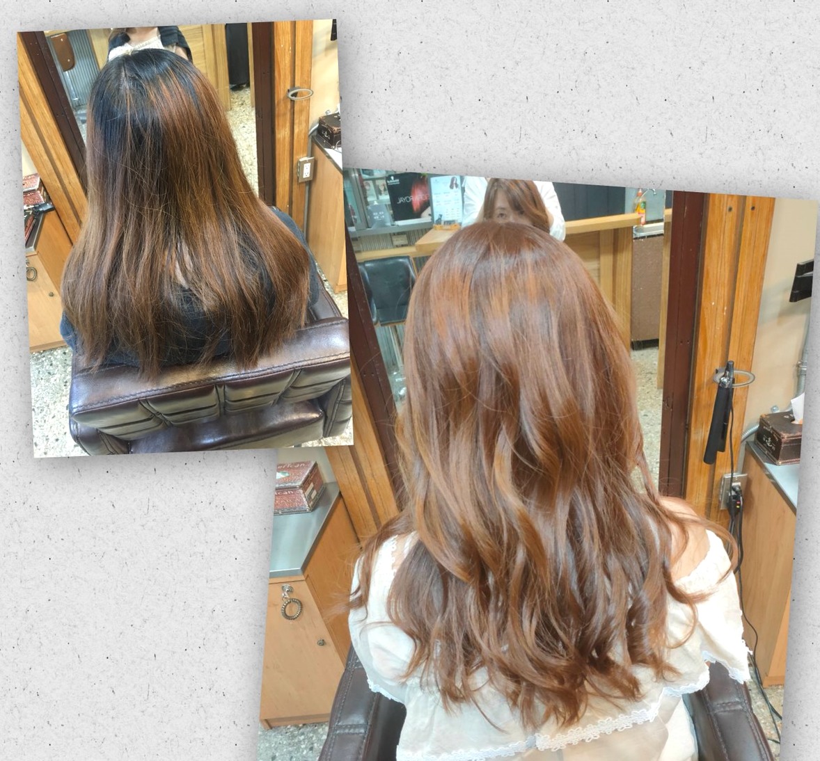 德國頂級施華蔻染護髮