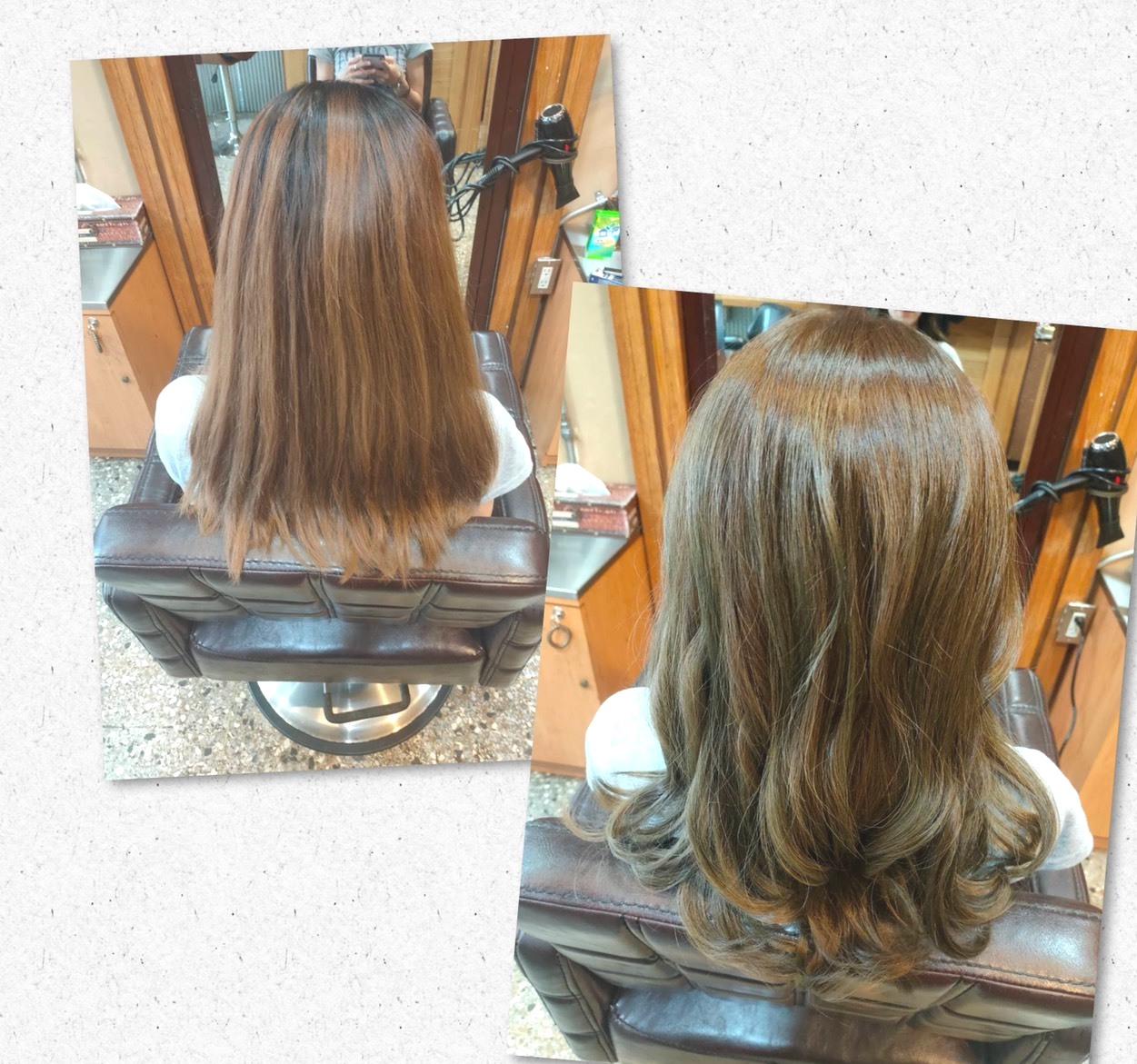 德國頂級施華蔻染護髮