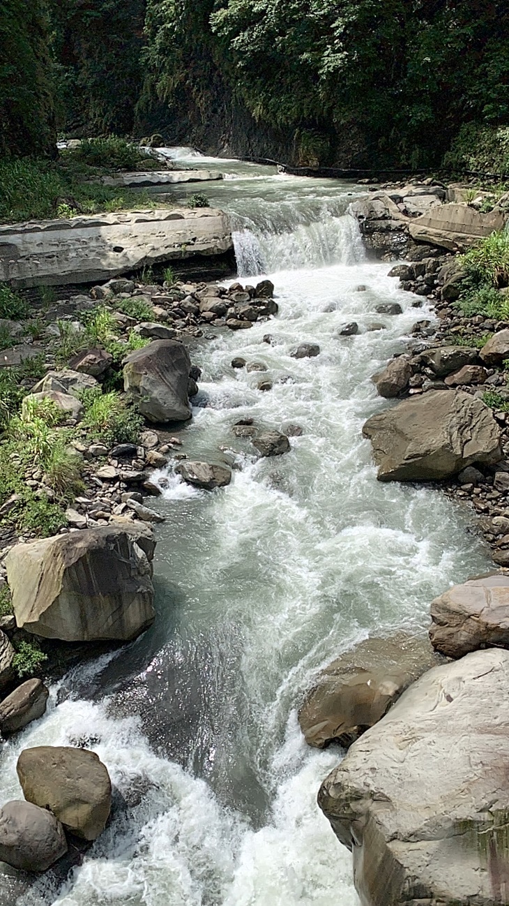 水雲原森微旅行