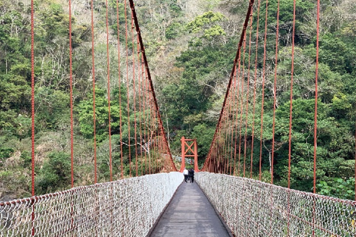 水雲原森微旅行