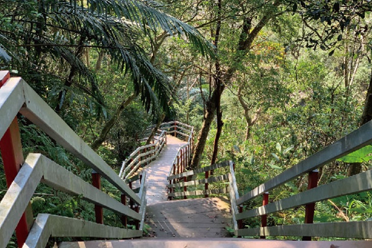 水雲原森微旅行