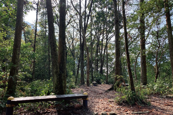水雲原森微旅行