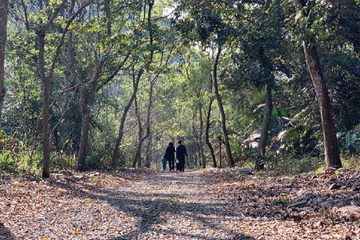 水雲原森微旅行