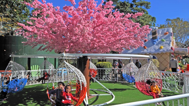 首次打造繽紛浪漫的夢幻櫻花樹旋轉鞦韆！