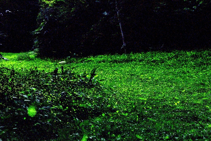 苗栗-西湖渡假村