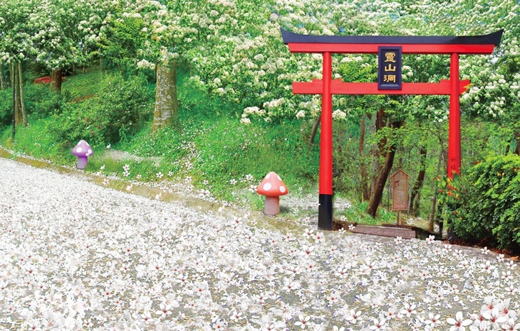 苗栗-西湖渡假村