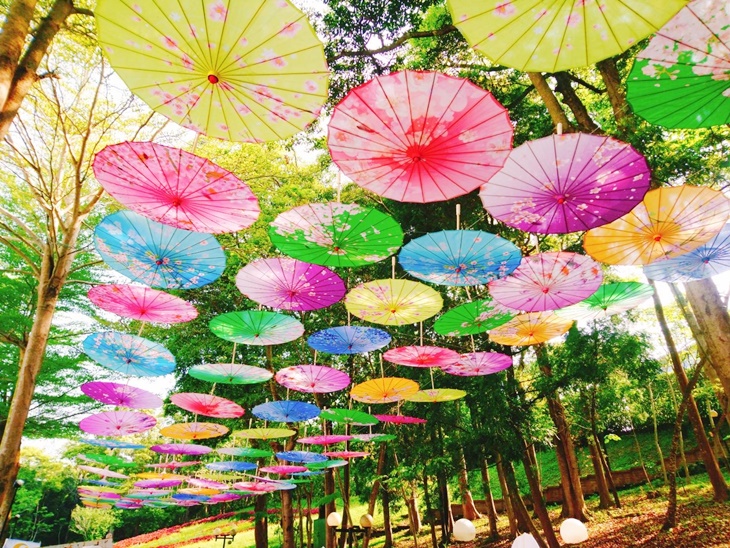 苗栗-西湖渡假村