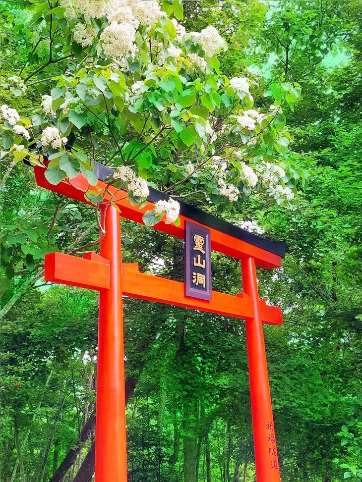 苗栗-西湖渡假村