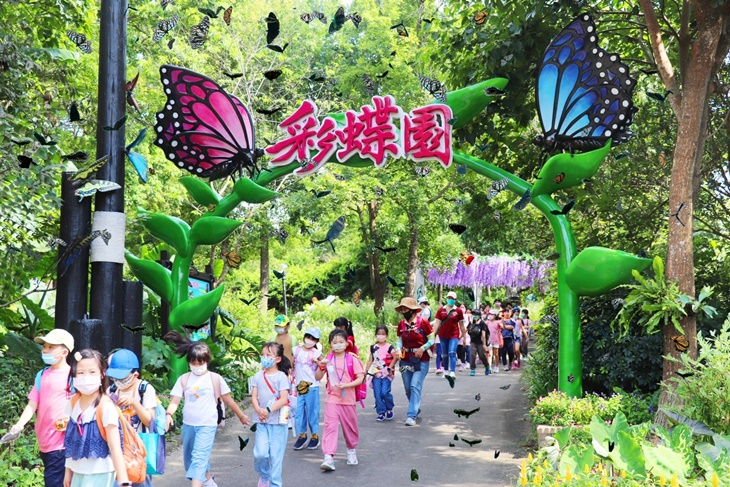 仲夏彩蝶季