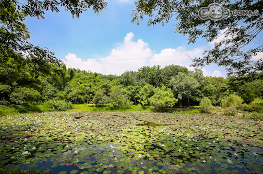 台南-尖山埤江南渡假村