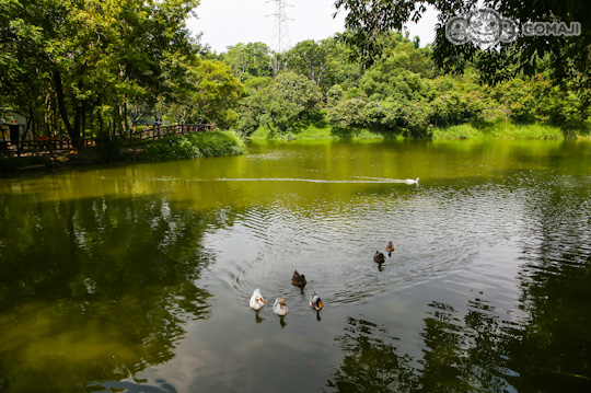 台南-尖山埤江南渡假村