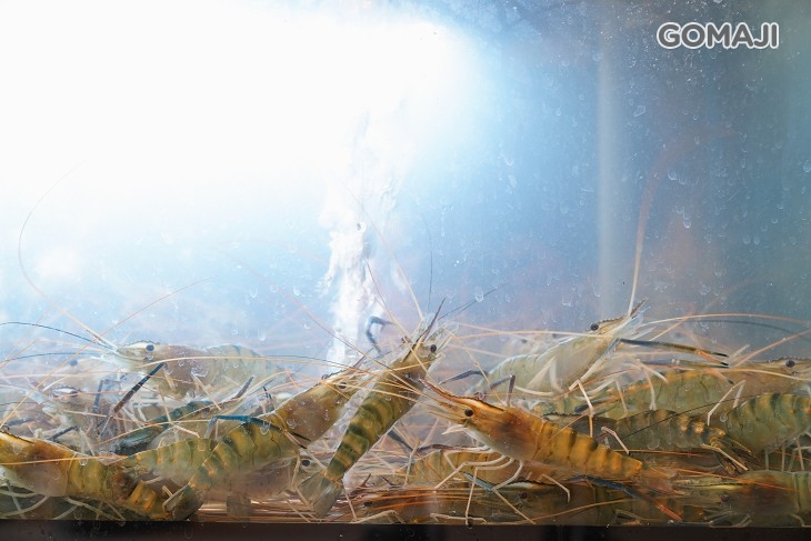 野饌日式炭火燒肉 火烤兩吃泰國蝦吃到飽