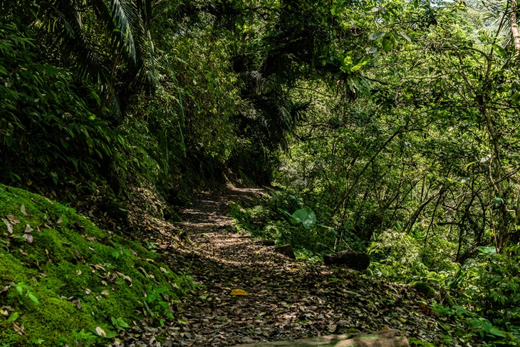 環山步道