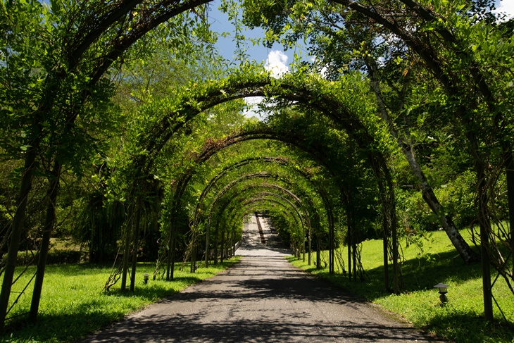 歐洲花園