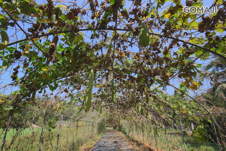 田媽媽牛奶故鄉餐坊