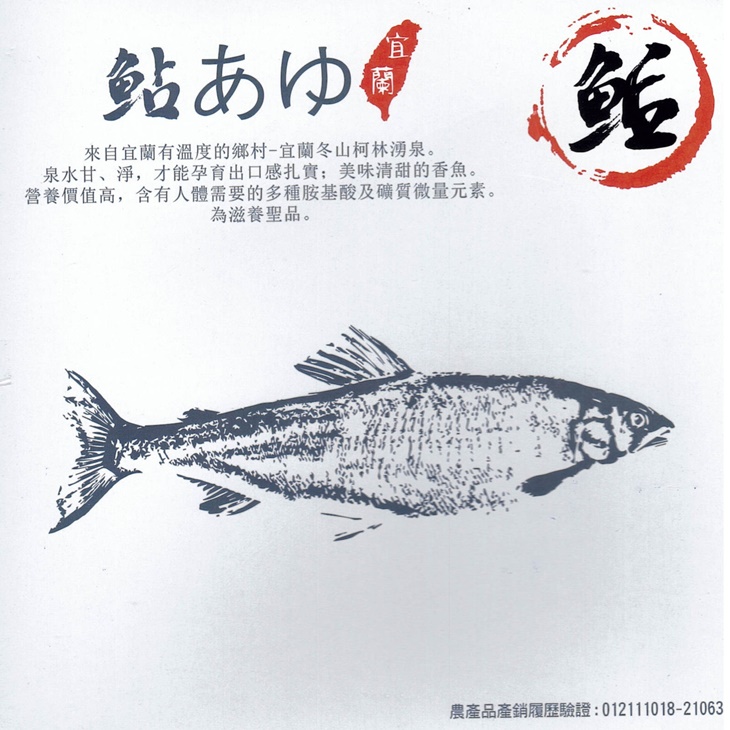 柯林湧泉爆蛋母香魚