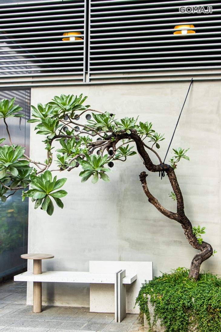 To Be Smoothie(高雄孟子店)