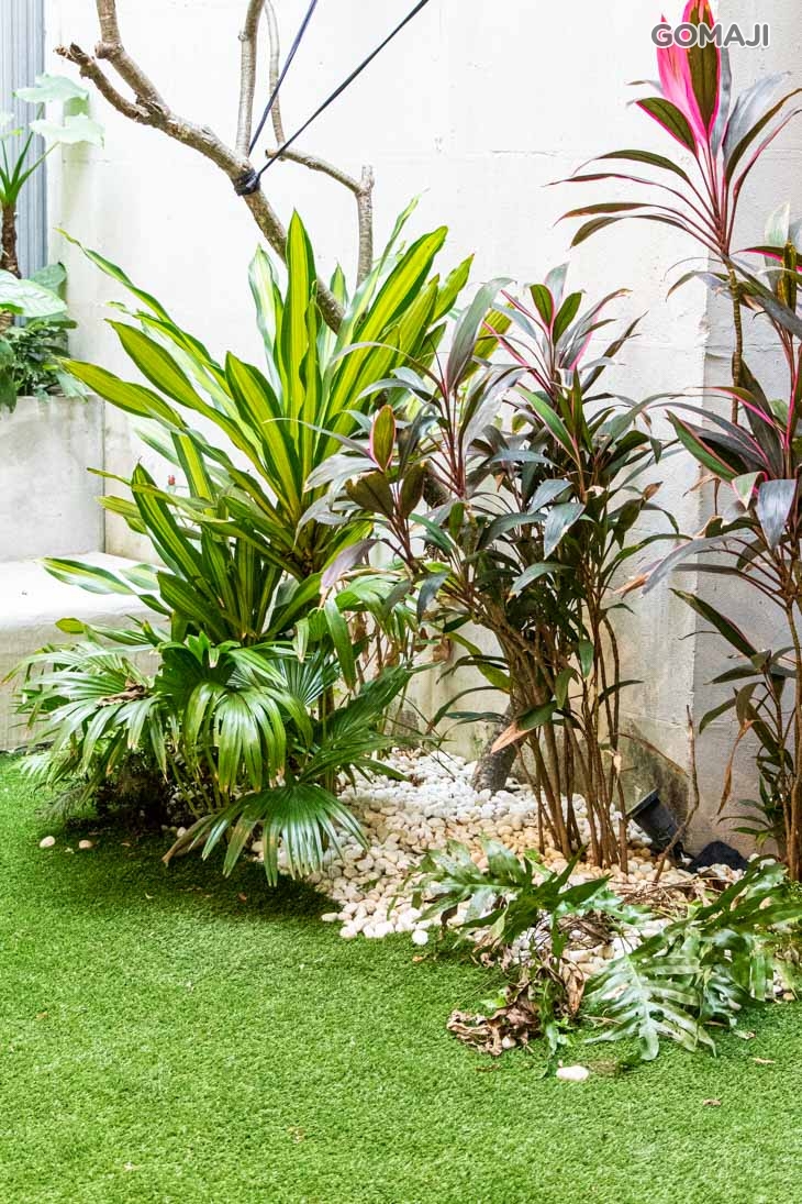 To Be Smoothie(高雄孟子店)