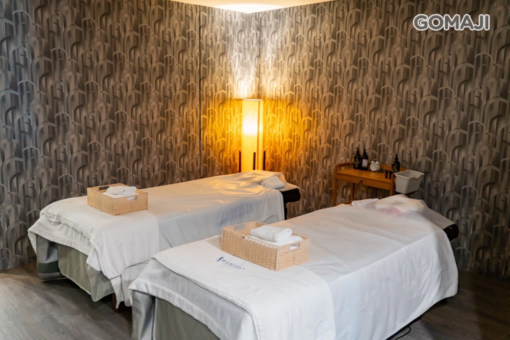 VIVISPA