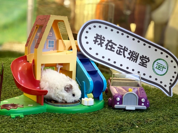 武淵堂足體養身宜蘭親子館